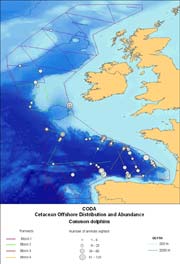 Fin Whale and Common dolphin distribution - click to enlarge