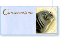 Conservation title graphic