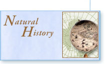 Natural History title graphic