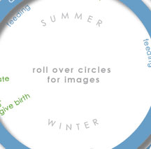 life cycle interactive graphic element